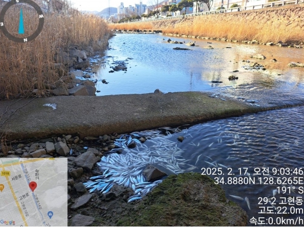 20250228_110928.jpg
