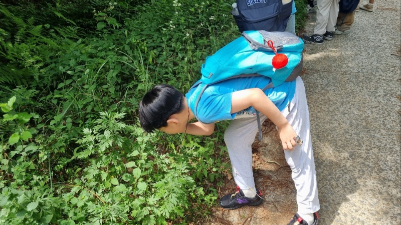 KakaoTalk_20250712_175119830_02.jpg