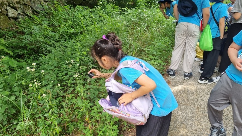 KakaoTalk_20250712_175119830_03.jpg