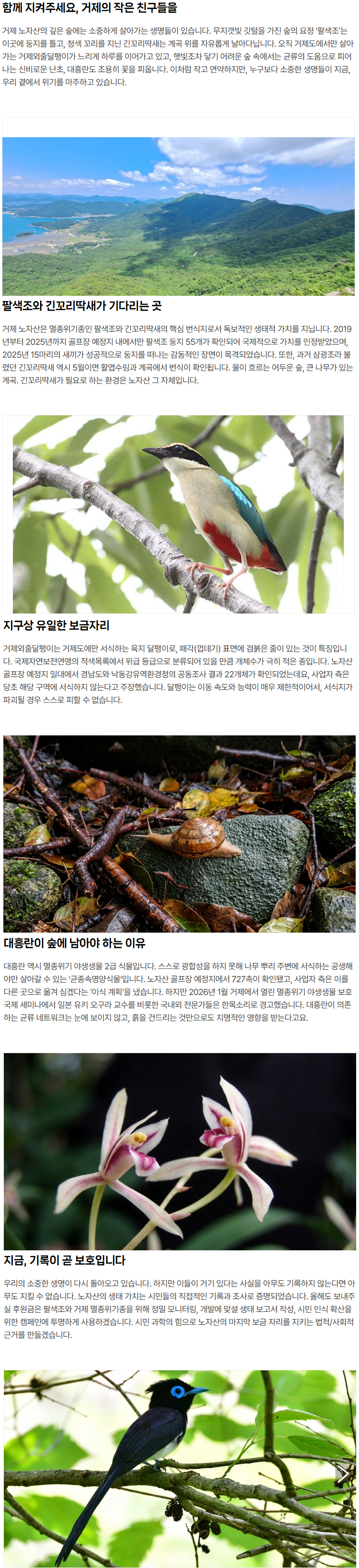 해피빈팔색조.png